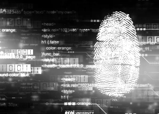 Digital Forensics and Incident Response